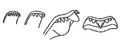 Drawing of radular teeth of Semisulcospira libertina