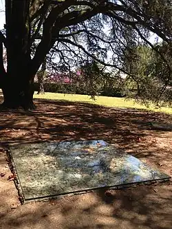 Alberto Carneiro,, Ser Arvore e Arte