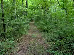 The Sinkhole Trail in the park's west section
