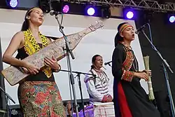 Image 17Sapeh, a traditional stringed instrument from East Kalimantan (from Culture of Indonesia)