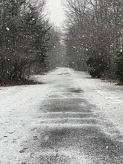 A beautiful snowy path through Bare Cove
