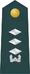 Superior lieutenant