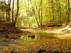 The Chagrin River as viewed from the South Chagrin Reservation