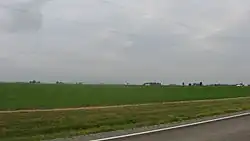 Fields between Antwerp and Payne