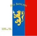 Standard of the Alta Battalion