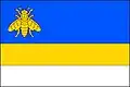 Flag of Staré Těchanovice