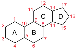 Carbon numbering in gonane