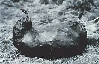 Stomach of a sea lion used by Aleut natives to store dried red salmon