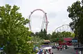 Cobra loop