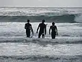 Surfers walking out at Cardiff Reef