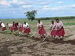 Students Tending School Crops