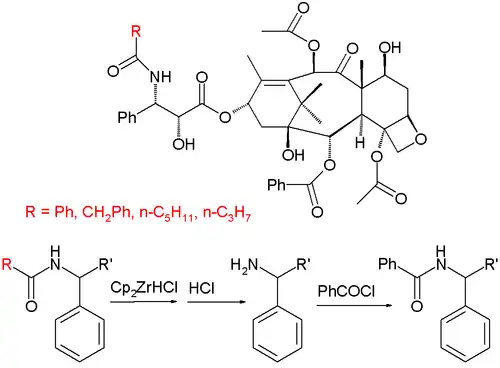 Taxol Semi Synthesis Taxanes