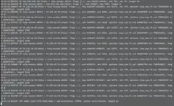 tcpdump console output