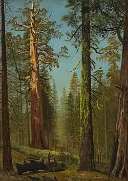 The Great Trees, Mariposa Grove, California oil painting by Albert Bierstadt, 1876.