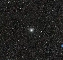 A small fuzzy white ball in the center of a speckled black backdrop