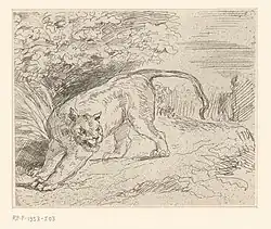 Trapped tiger, Eugène Delacroix's only cliché verre work,[19] 1854. Usually printed the other way round.