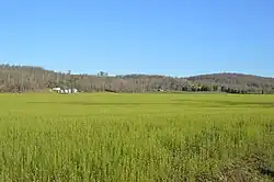 Along State Road 66 north of Rome