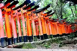 A torii path across the mountain from the side