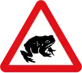 Migratory toad crossing