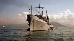 USS Holland at Hong Kong in 1993.