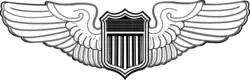 Pilot Badge