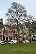 'Umbraculifera Gracilis', Bruntsfield Links, Edinburgh (April 2015)
