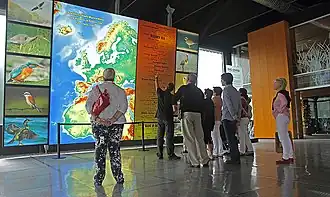 Hall and migration map