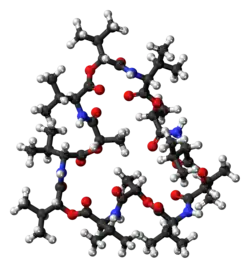 Ball-and-stick model of the valinomycin molecule