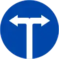 301i: Turn left or right only