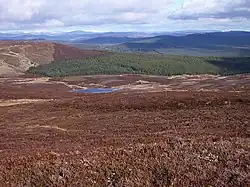 View from Meall Odhar ridge Looking down the heathery slopes of Meall Odhar, with Loch Hoil below. A vast area of forestry extends north-eastwards beyond the loch. Relatively modest hills often have excellent views and this is no exception.