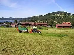 Local farm area in Vikebygd