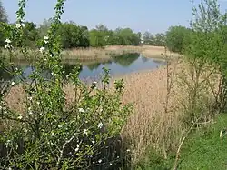 Vikno, Ivano-Frankivs'ka oblast, Ukraine, 78125 - panoramio