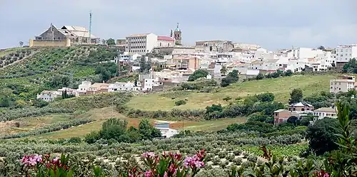 View of Montilla with a church in the middle and some green hills in the foreground