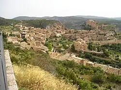View of the village from above
