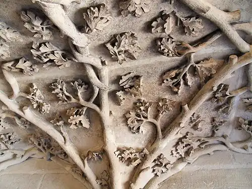 Detail of the stairway vault, showing the oak leaf, hawthorn and hops