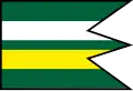 Flag of Vyšná Slaná