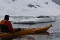 Kayaker watches seal in Waddington Bay