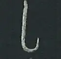 Fish hook