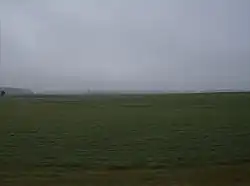Winter wheat field in Wabash Township