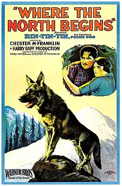 A poster with a painting of a German shepherd dog standing on a rock in a snowy environment.