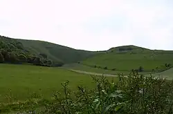 White Horse Hill and Dragon Hill (right)