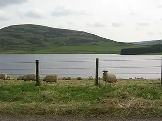 The Whiteadder Reservoir