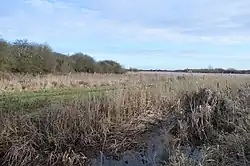 Wilbraham Fens