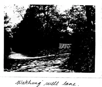 Gardens at Swainston 1909