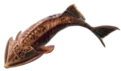 Wladysagitta janvieri