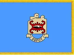 Flag of Pirot