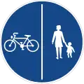 242: Shared Path