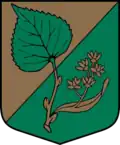 Coat of arms of Ziras Parish