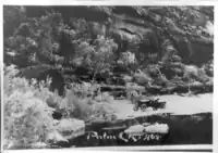 Gerhardt Johannsen in a car at Palm Valley in the 1920s